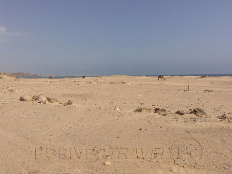 Dhofar, Oman meridionale. Birmat